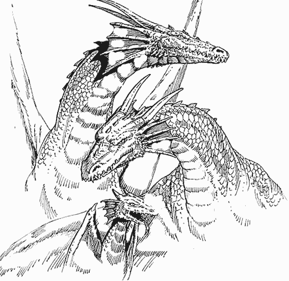 coloriage famille de dragons